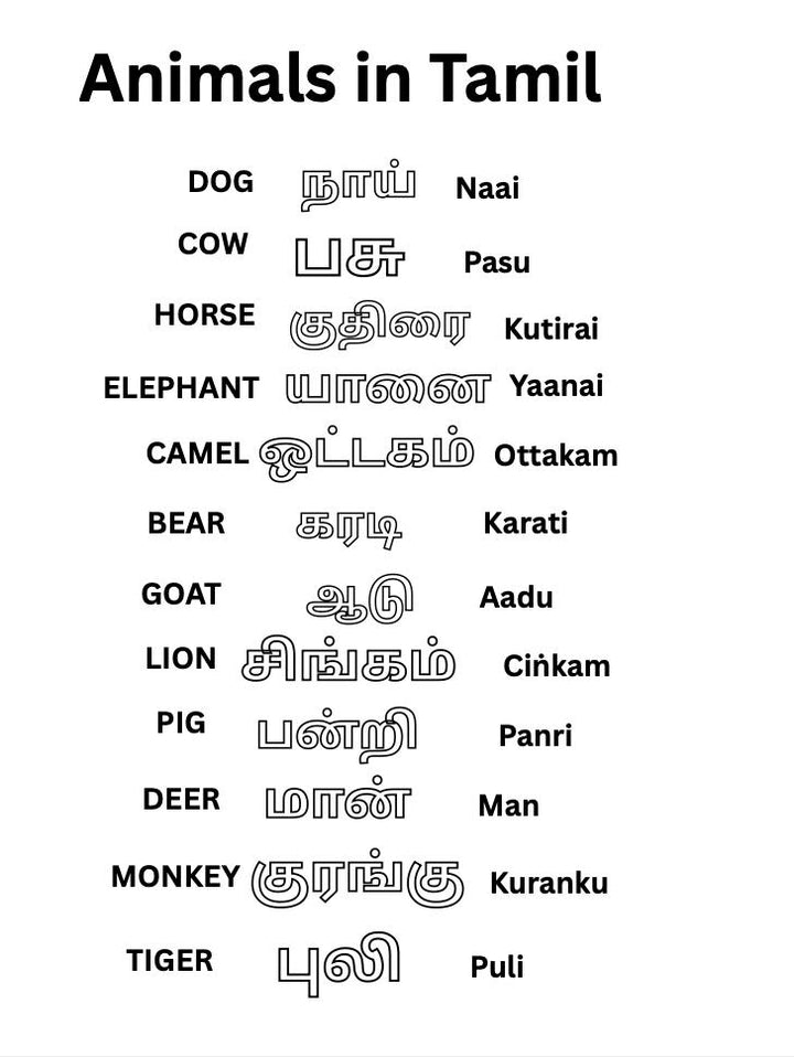 Printable Tamil Animal Coloring Pages -  digital print - Gift for everyone