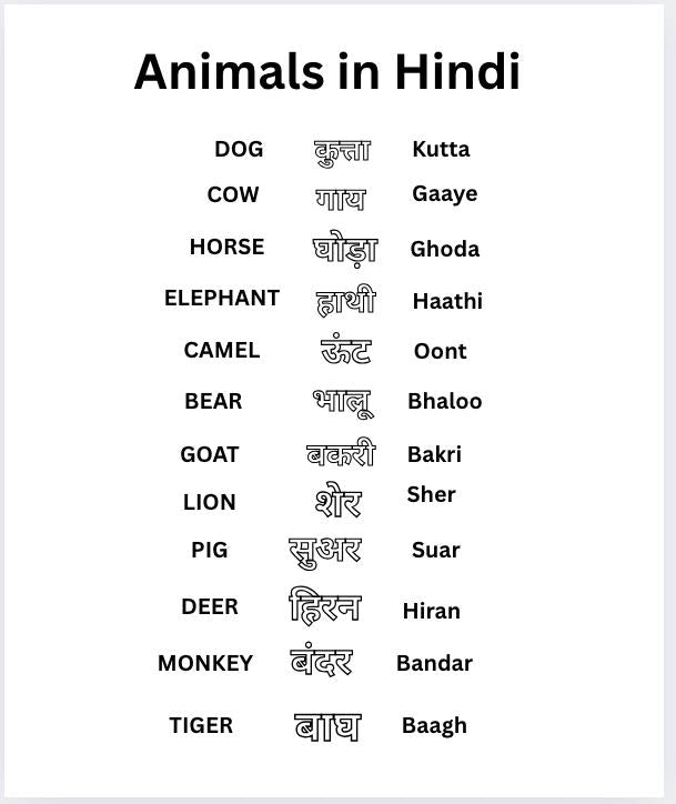 Printable Hindi Animal Coloring Pages -  digital print - Gift for everyone